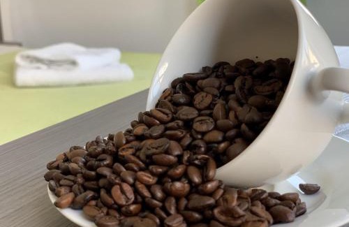 Stadtlengsfeld House | Rhöner Ferienwohnung: Family-Friendly with Breakfast Included