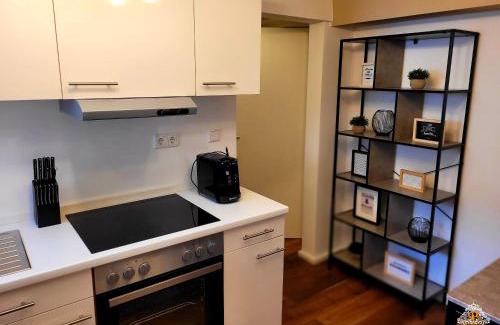 Vallendar Apartment | Cozy Rhein Apartment Souterrain with Kitchen Amenities