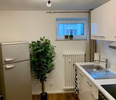 Vallendar Apartment | Cozy Rhein Apartment Souterrain with Kitchen Amenities