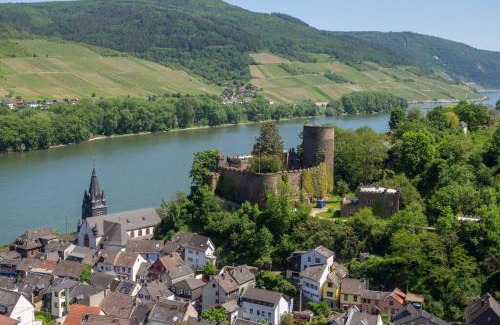 Mainz-Bingen Apartment | Wine & Style Retreat: 90 qm Ferienwohnung by the Rhine