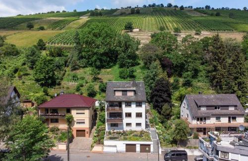 Mainz-Bingen Apartment | Wine & Style Retreat: 90 qm Ferienwohnung by the Rhine
