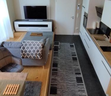 Mainz-Bingen Apartment | Unforgettable Stay at Rheinufer am Hindenburgpark