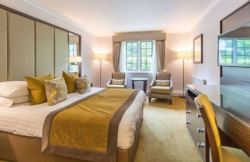 New Forest District Hotel | Discover Rhinefield House Hotel: Spa, Pool & Family-Friendly