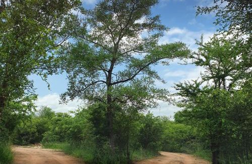 Ha-Lambani Cabin | Inviting Rhumbini Lodge: Family-Friendly with Breakfast