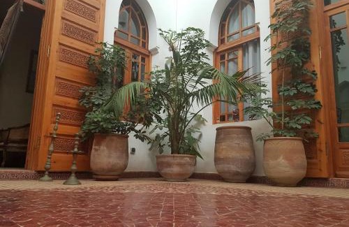 Medina of Rabat House | Discover Riad Dar Karima: Wheelchair Accessible Oasis