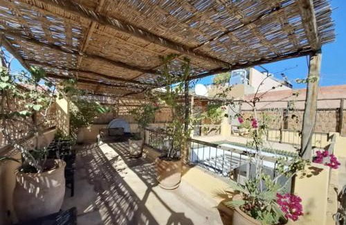 Kbour Chou Apartment | Experience Riad Slima: Pet-Friendly with Oceanfront Views