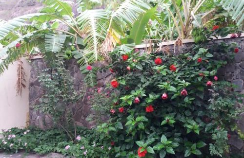 Ribeira Grande House | Guest Rated 10/10: Ribeira Grande Country House Retreat