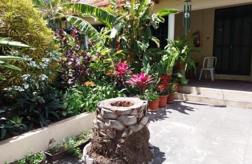 Ribeira Grande House | Guest Rated 10/10: Ribeira Grande Country House Retreat
