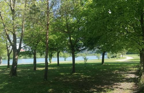 Radece House | Discover Ribiški dom Radeče: Family-Friendly Getaway