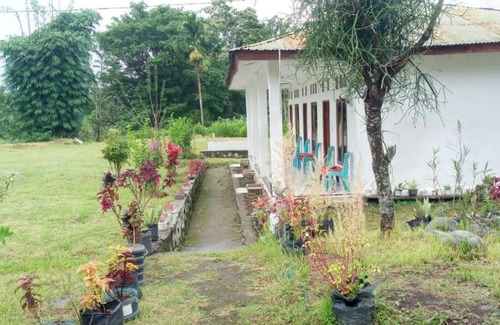 Moni House | Cozy Rice Field Guest House with Great 8/10 Rating