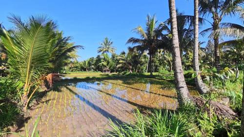 Tetebatu House | Rice Field inn - Lombok