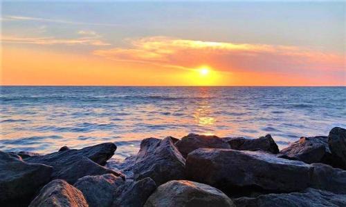 Kammala House | Rico Shadow Guest House: Ocean View & Pet-Friendly Stay