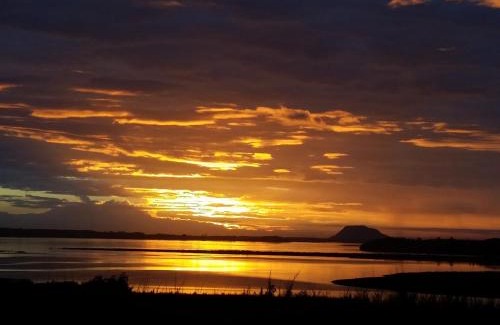 Aongatete Bed & Breakfast | Ridgeton: Oceanfront Retreat with Top Guest Ratings