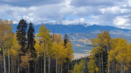Angel Fire Bed & Breakfast | RidgeWalk Treehouse: Guest Rated 10/10 with Family-Friendly Perks