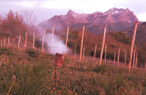 Careggine House | Pet-Friendly Retreat at Rifugio Alpi Apuane - 9/10 Rated