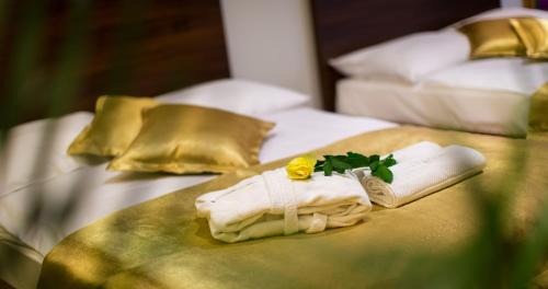 Rimske Toplice Hotel | Relax at Rimske Terme Resort - Hotel Zdraviliški dvor