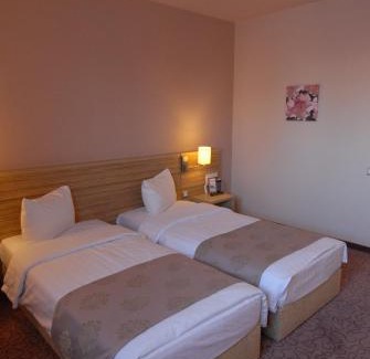 Otopeni Hotel | Relax at RIN Airport Hotel: 4-Star Stay with Ocean Views