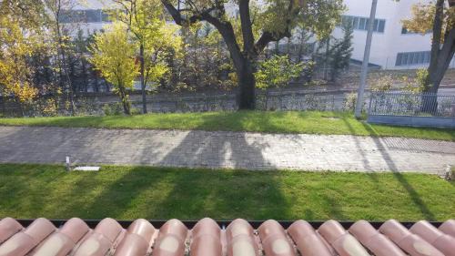 Poggio Torriana Bed & Breakfast | Pet-Friendly Rinaldi House with Hot Tub & Breakfast