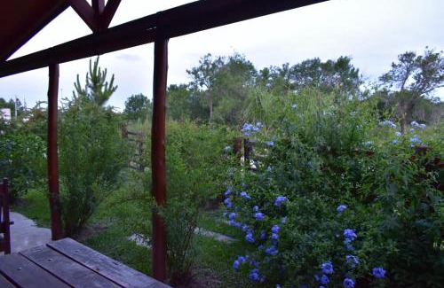Colonia Ayui House | Discover Rincon del Lago: Exceptional Oceanfront Retreat