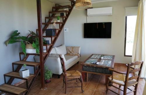 San Pedro House | Rinconada Guesthouse: Oceanfront Stay with Pool & Pet Friendly