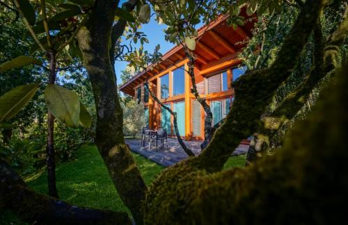 Lanhelas Hotel | Unforgettable Stay at Rinoterra Minho with Spa & Dining