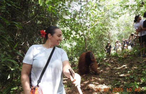 Bohorok Villa | Explore Rinte Green Village with Jungle Trekking Adventures