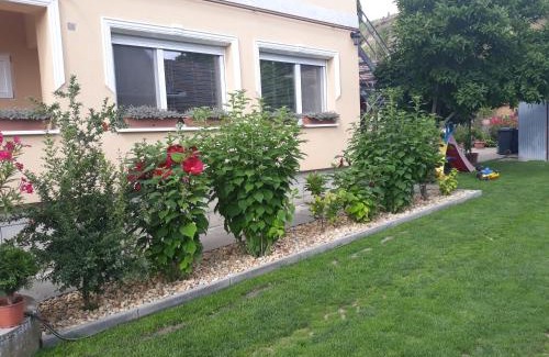 Bogacs Apartment | Rita Apartman: Family and Pet-Friendly Getaway Awaits!