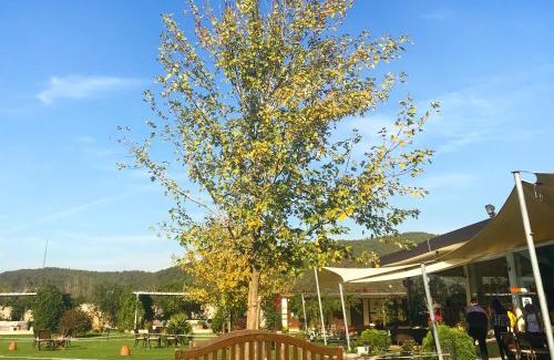 Cekmekoy Hotel | Pet-Friendly Riva's Club Hotel with Pool and Breakfast Options