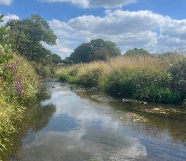North Tamerton Other | Experience Rivendell Glamping Pods with Hot Tub & Kitchen