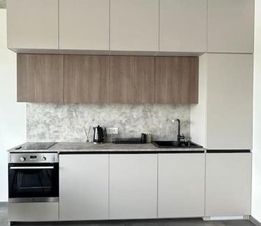 Kaunas Apartment | River Apartments Nemunaiciai: Pet-Friendly Retreat, 10/10 Rating
