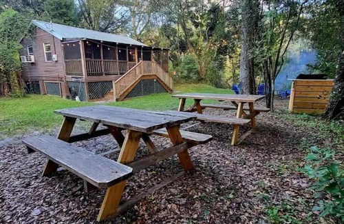 Webster Cabin | Relax at River Daze Cabin - Pet-Friendly Riverside Retreat
