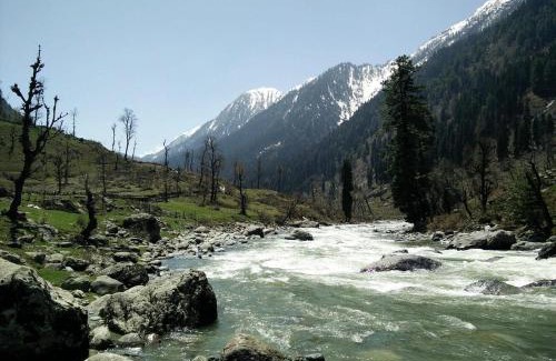 Pahalgam Hotel | Charming River Front Guest House with Pool and Pet Access