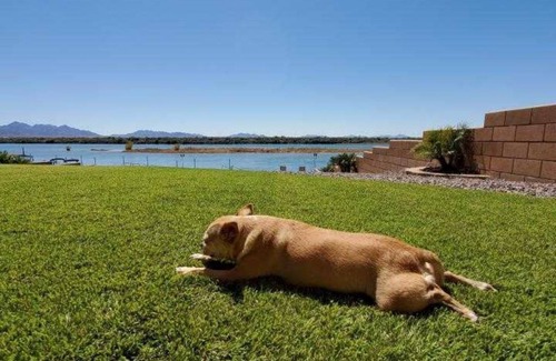 Parker House | Serene Riverfront Retreat with Private Dock & Pet-Friendly