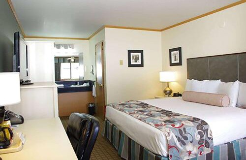 Florence Hotel | Discover River House Inn: A Family-Friendly 4-Star Retreat