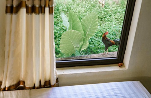Phong Nha House | Experience River Life Homestay: Perfect for Families!