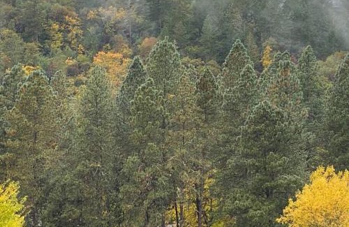 Grants Pass House | Relaxing River's Edge Retreat Near I-5 for Families