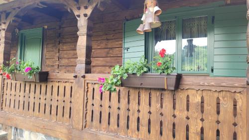 Viseu de Jos House | Discover River Song Inn: Pet-Friendly Retreat with Pool