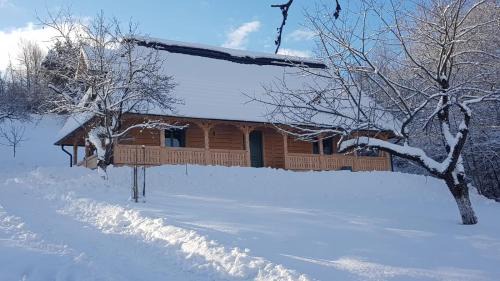 Viseu de Jos House | Discover River Song Inn: Pet-Friendly Retreat with Pool