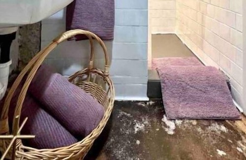 Ozark House | Discover River Street Wine Cellar: Pet-Friendly Retreat