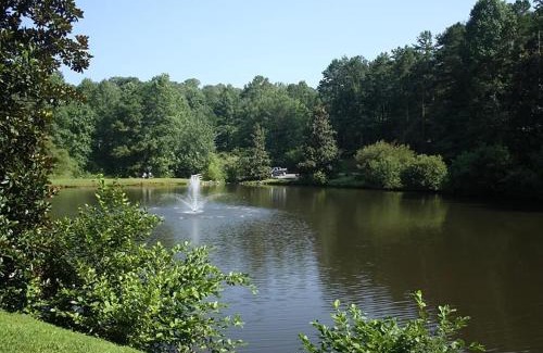 Ellijay House | River View Getaway: Family-Friendly Escape with Oceanfront Pool