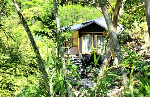 Ciudad Colon Apartment | Riverfront Cabin with Breathtaking Views Near SJO Airport