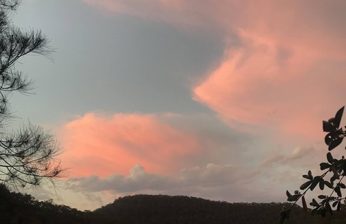Berowra Waters House | Riverfront 'Treehouse' Escape (8 Dusthole Pt)
