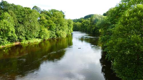 Carluke Apartment | Exceptional Riverside Apartments - Family-Friendly Getaway