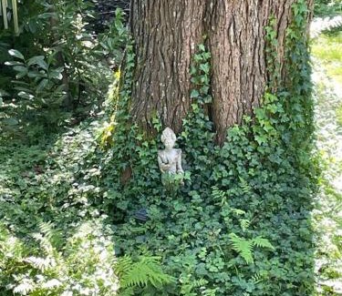 May Creek Apartment | Riverside Bird House