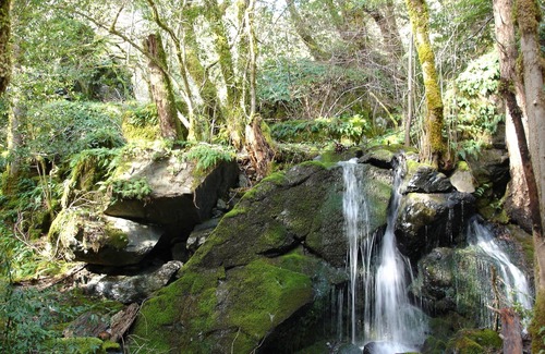 Orleans Cabin | Pet-Friendly Riverside Cabins in the Klamath Mountains