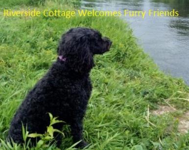 Ballyclare House | Riverside Cottage at Logwood Mill: Pet-Friendly Oceanfront Retreat