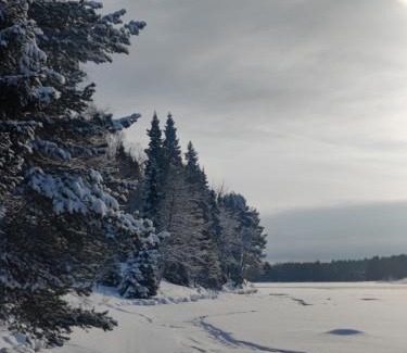 Rovaniemi Villa | Riverside Country House: Oceanfront Escape for Families