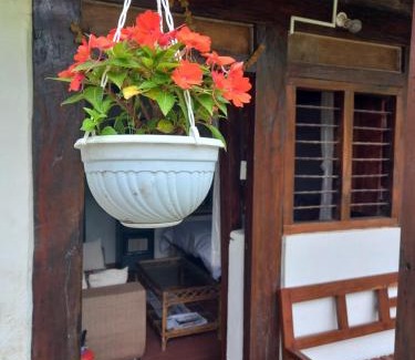 Gandaki Zone House | Pet-Friendly Riverside Homes with Oceanfront Views