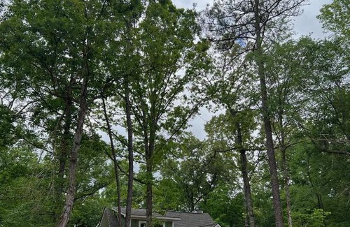 Forsyth House | Riverside Cabin Retreat Near Jackson Lake - Pet Friendly Stay