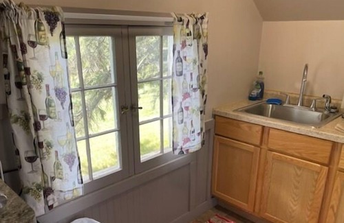 Park Rapids Apartment | Discover Riverside Point Resort Studio Cabin 9 Loft - Pet Friendly!